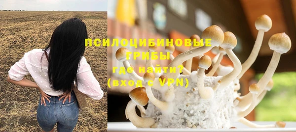 прущая мука Армянск