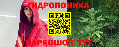 ГАЛЛЮЦИНОГЕННЫЕ ГРИБЫ Кимры