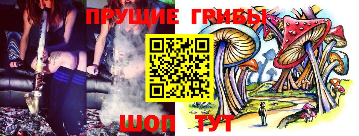 Псилоцибиновые грибы мухоморы  Псилоцибиновые грибы GOLDEN TEACHER  Заречный  Вход с VPN 